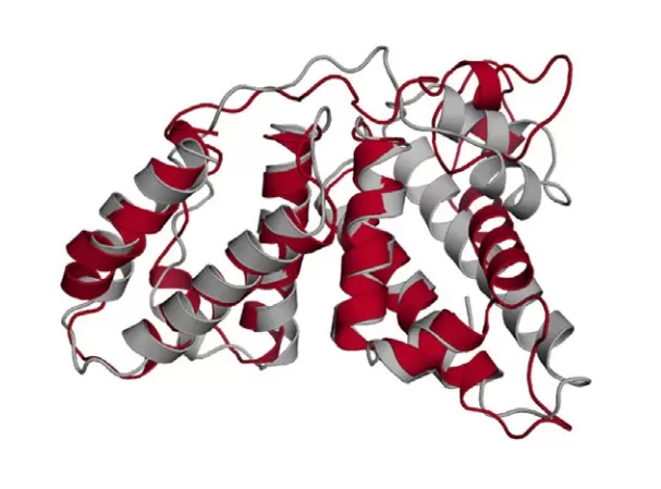 Schematic of protein tertiary structure (Schneider et al., 2018)